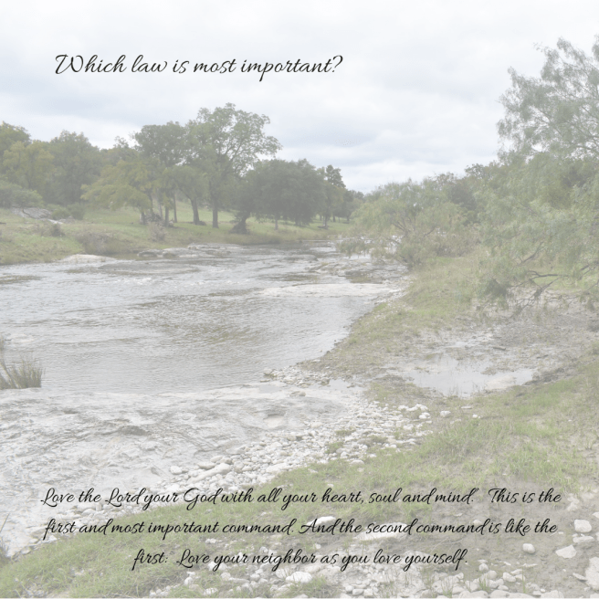 Which law is most important?-2